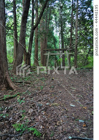 Mount Osuna(Yamiya Shrine)Torii Mount Osuna(Yamiya Shrine)Torii 44448195