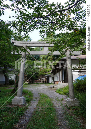 Mount Osuna (Yamiya Shrine) Torii 44448201