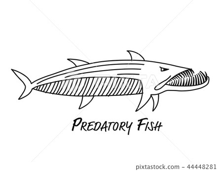 Barracuda fish for your design 44448281