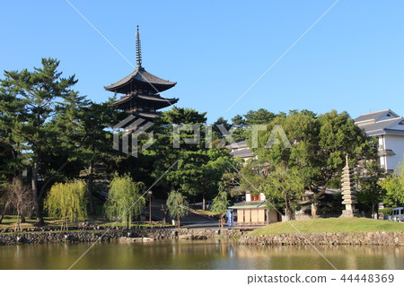 Kofuku-ji 5-storied tower and Sarusawa pond Kofuku-ji 5-storied tower and Sarusawa pond 44448369