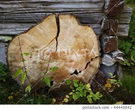wooden circle with a split cut 44448842