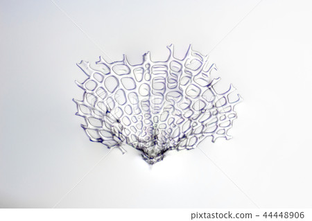 Radiant worm Radiant worm 44448906