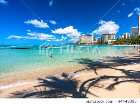"Hawaii" Waikiki Beach Honolulu "Hawaii" Waikiki Beach Honolulu 44449088