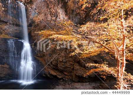 Waterfall in the woods Waterfall in the woods 44449999