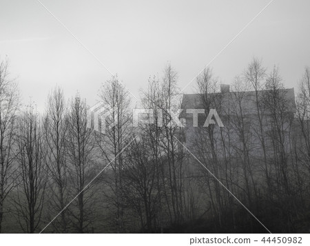 Spooky house with trees and fog Spooky house with trees and fog 44450982