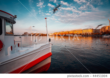 Traditional steamer boat on Alster Lake in foreground. Golden autumn light at sunset. Seagulls 44451004
