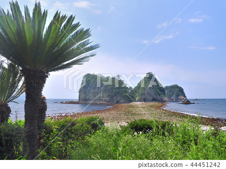 Nishiizudogashima海岸-18515 44451242