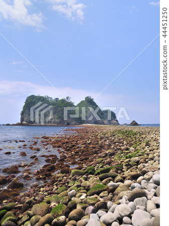 Nishiizudogashima coast-18525 Nishiizudogashima coast-18525 44451250