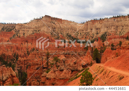 Panorama from Bryce Canyon National Park, USA 44451681