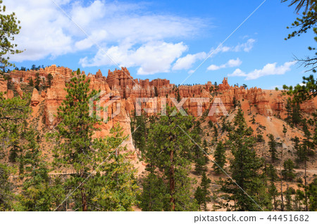 Panorama from Bryce Canyon National Park, USA 44451682