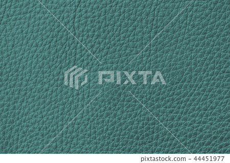 Texture of genuine leather, green color. Copy space 44451977