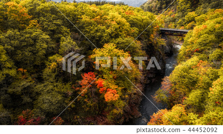 Autumn leaves of Iwanai Sengoku 44452092