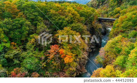 Autumn leaves of Iwanai Sengoku 44452093