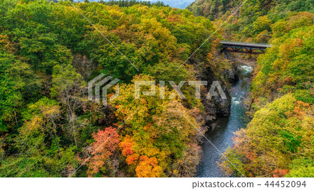 Autumn leaves of Iwanai Sengoku 44452094