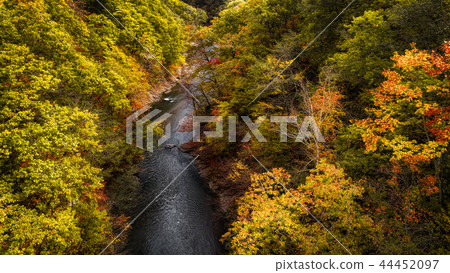 Autumn leaves of Iwanai Sengoku 44452097