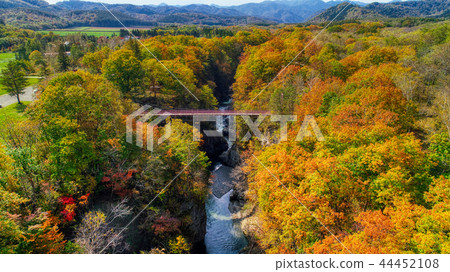 Iwanai Sengoku秋葉 44452108