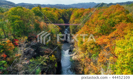 Iwanai Sengoku秋葉 44452109