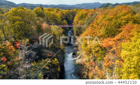 Iwanai Sengoku秋葉 44452110