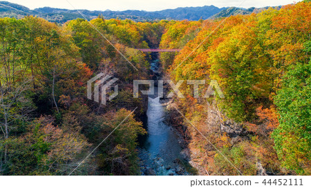 Autumn leaves of Iwanai Sengoku 44452111