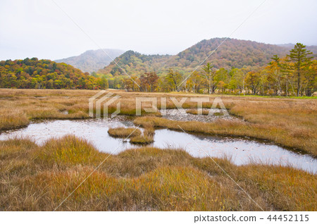 Ozegahara Uedashiro of the season of grass autumn leaves 44452115