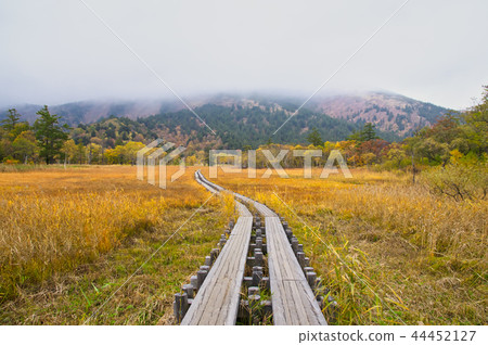 Ozegahara Uedashiro of the season of grass autumn leaves Ozegahara Uedashiro of the season of grass autumn leaves 44452127