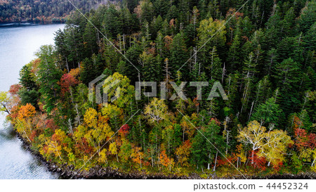 Aerial view of Lake Shibetsu 44452324