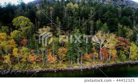 Aerial view of Lake Shibetsu 44452325