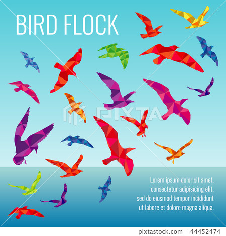 Abstract vector background with color silhouettes of flying birds 44452474