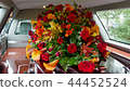 funeral casket in a hearse or chapel 44452524