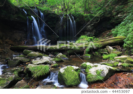 Saruho Falls 910 44453097