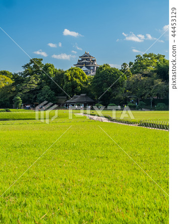 從後樂園看的岡山城堡 從後樂園看的岡山城堡 44453129