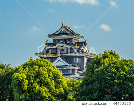 從後樂園看的岡山城堡 44453130