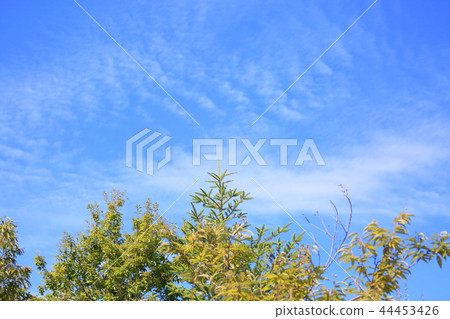 秋天的天空 44453426