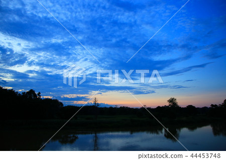 sky sunset cloud beautiful with silhouette tree  44453748