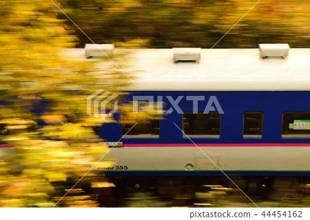 Yubari線穿過彩色的葉子 44454162