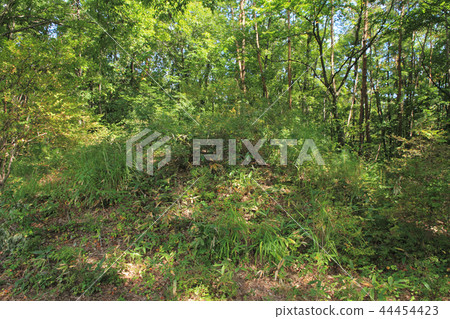 Matsukawa village grandfather in Nagano Prefecture tombs burial mound Matsukawa village grandfather in Nagano Prefecture tombs burial mound 44454423