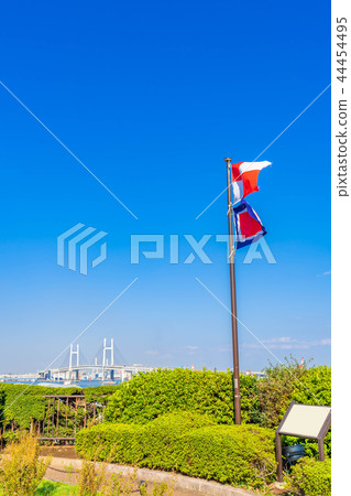 在小山公園附近環境美化以橫濱港口為目的與清楚的秋天 44454495