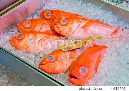 Seafood stores in Numazu Port, Numazu City, Shizuoka Prefecture Seafood stores in Numazu Port, Numazu City, Shizuoka Prefecture 44454592