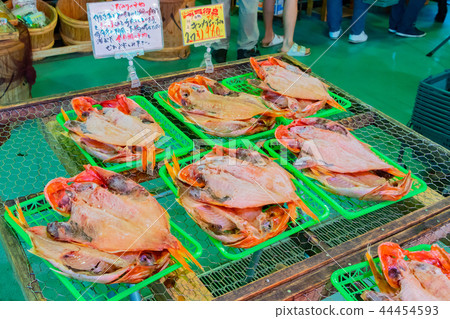 Seafood stores in Numazu Port, Numazu City, Shizuoka Prefecture Seafood stores in Numazu Port, Numazu City, Shizuoka Prefecture 44454593