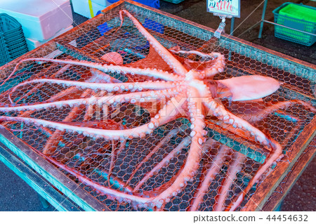 Seafood stores in Numazu Port, Numazu City, Shizuoka Prefecture Seafood stores in Numazu Port, Numazu City, Shizuoka Prefecture 44454632