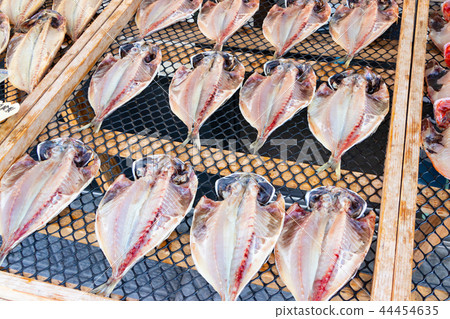 靜岡縣沼津市沼津港的海鮮店 44454635