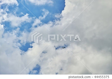 自衛隊 自衛隊 44455375