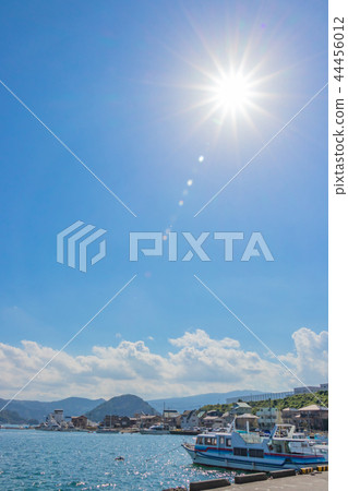 Uchiura Port, Numazu City, Shizuoka Prefecture 44456012