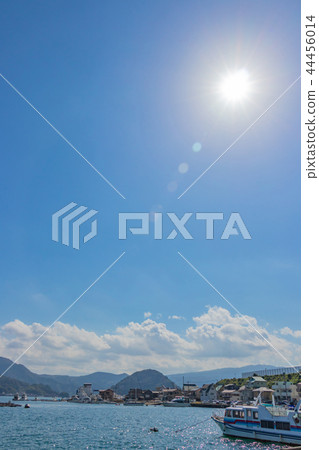 靜岡縣沼津市內於口岸 44456014