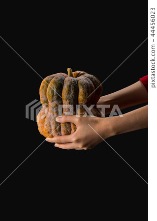 Large pumpkin 44456023