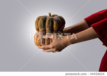Large pumpkin 44456024
