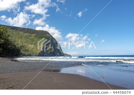 waipio valley, morning, ocean 44456074