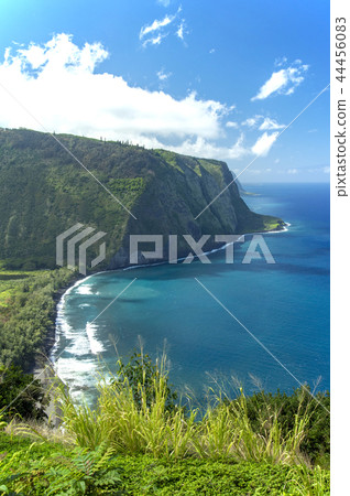 waipio valley, coastline of bay, outlook 44456083