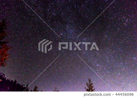 富士山第五大門(富士宮口)的星空 富士山第五大門(富士宮口)的星空 44456096