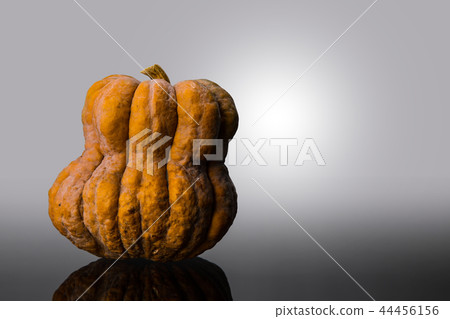 Big pumpkin Big pumpkin 44456156
